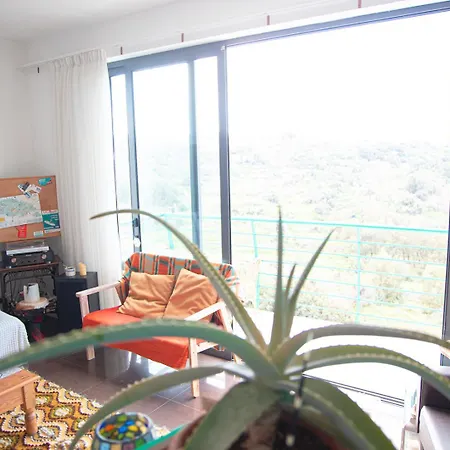Paradise Gardens Guest house